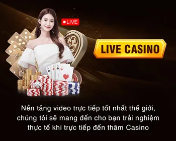 Điều khoản và Điều kiện